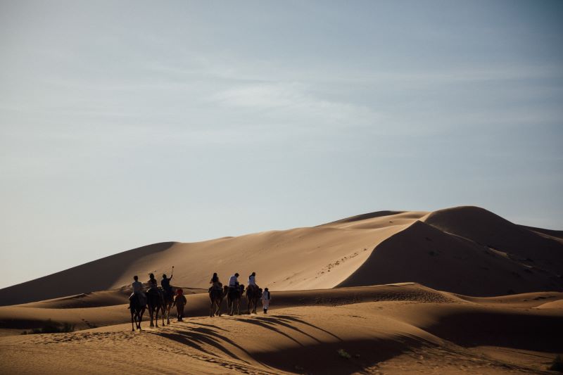 Riding with the camels in the desert of Morocco with all the group. A group is rides the camels through the desert in Morocco having fun and enjoying the peaceful desert.